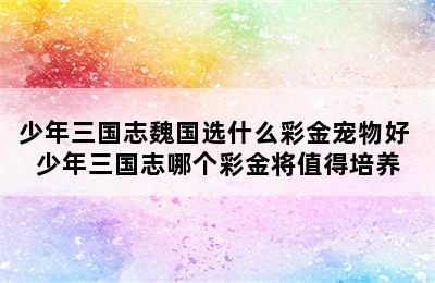 少年三国志魏国选什么彩金宠物好 少年三国志哪个彩金将值得培养